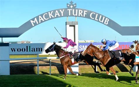 mackay race tips